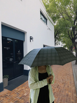Metal Compact Umbrella 20.5Inches 8Ribs 2 Folding With Auto Open Mini Umbrella