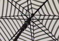 23 Inches  8 Fiberglass Ribs Auto Open Stick Umbrella With J Shape Rubber Coated Plastic Handle