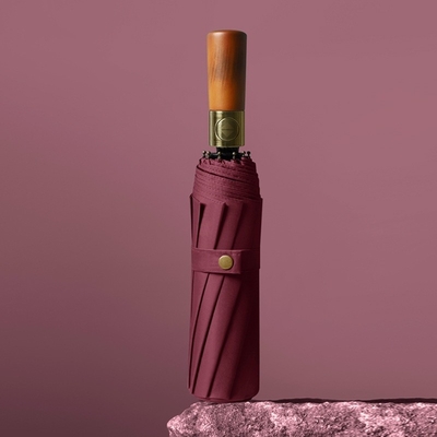Windproof 10-Ribbed Metal Shaft Automatic Open / Close Travel Umbrella