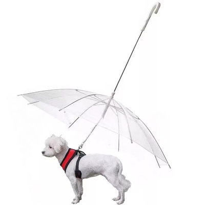 Transparent Umbrella For Dogs To Keep Them From Getting Wet