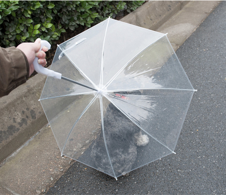 Transparent Umbrella For Dogs To Keep Them From Getting Wet