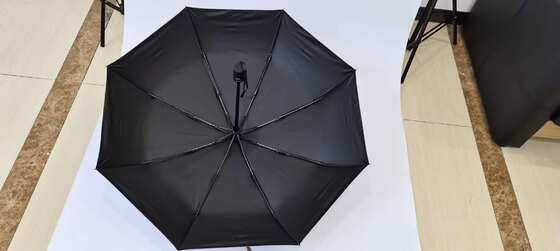 Auto Open Stick Umbrella with Fiberglass Ribs 190T Pongee Fabric and Auto Open Close Function