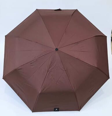 Auto Open Stick Umbrella with Fiberglass Ribs 190T Pongee Fabric and Auto Open Close Function