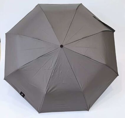 Auto Open Stick Umbrella with Fiberglass Ribs 190T Pongee Fabric and Auto Open Close Function