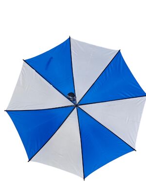 Auto Open Stick Umbrella with 23 Inches steel 8  Double-Ribs Structure  for Reliable Outdoor Protection