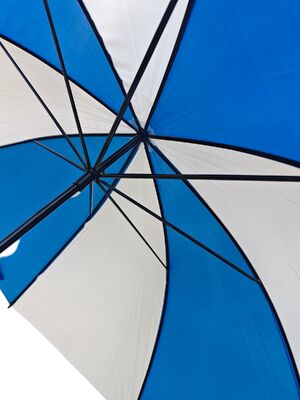 Auto Open Stick Umbrella with 23 Inches steel 8  Double-Ribs Structure  for Reliable Outdoor Protection