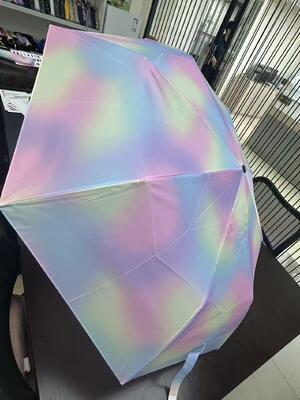 Reinforced 8 Ribs Waterproof Foldable Umbrella - Portable Compact for Daily Use