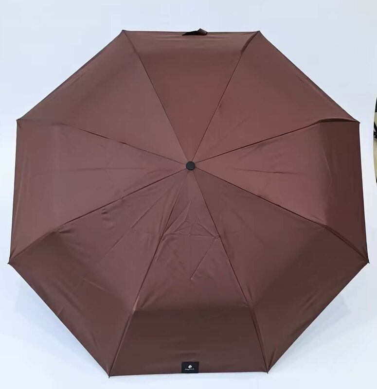 Auto Open Stick Umbrella with Fiberglass Ribs 190T Pongee Fabric and Auto Open Close Function